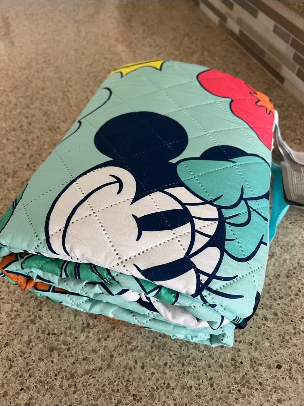 Disney  Folding Picnic Blanket - Aqua Teal Handle with Navy Trim